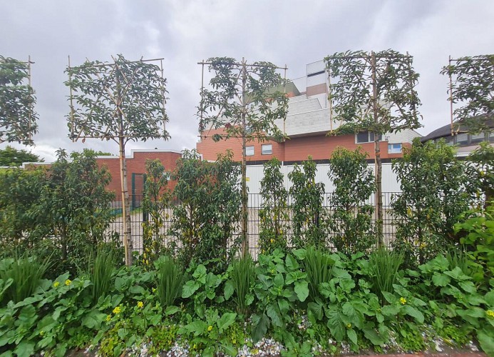 Angelegter Garten