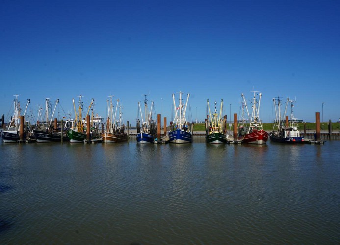 Norddeich - Kutterhafen